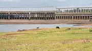 KRS Dam Water Level Drops Below 100 Feet, Raising Concerns in Karnataka