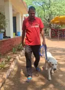 Labrador 'Boss' Shines at National Police Meet with Murder-Solving Skills