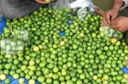 Lemon Prices Soar to Rs 200 per kg in Visakhapatnam Amid Summer Demand Surge
