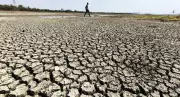 Maharashtra Heatwave Claims Fourth Farmer, 39 Suspected Heatstroke Cases Reported