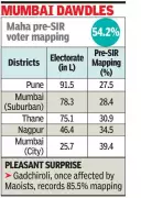 Maharashtra's Urban Districts Lag in Voter Revision Exercise, Rural Areas Lead