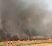 Massive Fire Ravages 400 Acres of Cropland in Punjab's Abohar Region