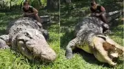 Meet Henry, the 124-Year-Old Nile Crocodile: World's Oldest Living Reptile