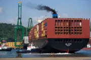 Middle East Crisis Hits Ludhiana Basmati Exporters: Shipping Costs Soar Tenfold