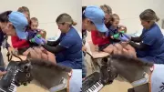 Mini Therapy Horse Plays Keyboard to Comfort Child During Hospital Procedure