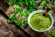 Moringa: The Indian 'Matcha' That Could Be Your Perfect Cup of Tea
