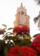 Mumbai Colleges Scramble to Meet PG Mandate for Fourth-Year UG Programs