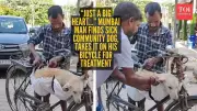 Mumbai Man Uses Bicycle to Rescue Sick Community Dog, Wins Hearts Online