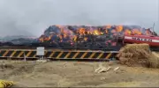 Nagpur Fire Incidents: Blazes Across City as Temperatures Rise, Crores in Losses