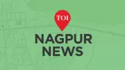 Nagpur High Court Directs Municipal Corporation to Remove All Tree Concrete