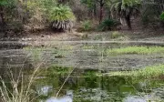 Nagpur Orders Drone Survey Amid Gorewada Lake Water Pollution Concerns