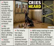 Nagpur Police Show Compassion, Ensure Safety of Pet Dog in Murder Case
