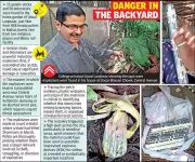 Nagpur Terror Probe: Principal's Garden Used as Explosives Dead-Drop, Police Suspect