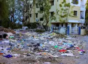 Nagpur's Waste Crisis: 15 Underground Bins vs 446 Garbage Vulnerable Points