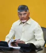 Naidu seeks central support for Andhra maize farmers amid falling prices