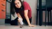 Natural Ways to Get Rid of Ants This Summer Season