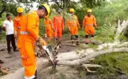 NDRF Faces Critical Staffing and Funding Gaps, No New Battalion Raised in 3 Years