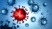 New 'Cicada' Covid Variant Shows Shift in Infection Patterns Among Children