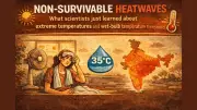 New Research Reveals Deadly Heat Thresholds Are Lower Than Previously Believed