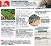 NGT Amicus Flags High Pollution in Chandigarh Drains, Questions Waste Management