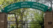 NGT Forms Panel to Check Illegal Groundwater Extraction Across States