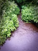 NGT Orders Pollution Inspection of Two Himachal Industrial Units in Una