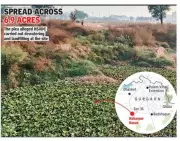 NGT Orders Probe into Alleged Destruction of Protected Wetland in Gurgaon