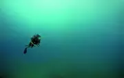 Nidhi Subbaiah's Solo Scuba Adventure: Seahorse Sighting Stuns on Havelock Island