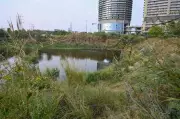 Noida Student Drowns in Stalled Construction Site Pit After Exams