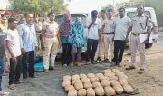 Odisha Police Bust Ganja Trafficking Ring Using Women, Child as Human Shields