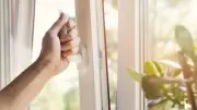 Opening Windows on Hot Days May Actually Heat Your Home, New Studies Reveal