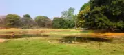 Osmania University Removes 300 Kg Plastic Waste from Lakebed