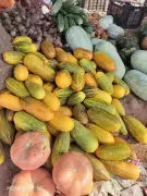 Palakkad's Vishu Vegetable Exports in Crisis Amid Middle East Geopolitical Tensions