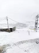 Pangi Valley Roads Blocked, Farming Disrupted by Unseasonal Snowfall