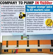 Patanjali to Set Up Largest Orange Processing Cluster in Nagpur with Rs650 Crore