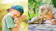 Pets Boost Child Development: Study Reveals Age-Appropriate Animal Companions