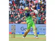 Phil Salt's Fiery Half-Century Propels RCB to 175 Against DC in Bengaluru