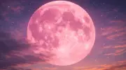 Pink Full Moon 2026: 7 Spiritual Signs You're Approaching a Major Life Transformation