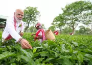 PM Modi Visits Assam Tea Garden, Calls Tea 'Soul of Assam' Ahead of Rallies