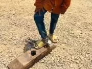 Police Probe Inhumane Leg-Cuffing of 11-Year-Old Boy at Banaganapalle Madrasa