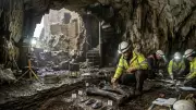 Prehistoric Cave Beneath Welsh Castle Reveals Mammoth Fossil Trove