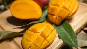 Protect Your Homegrown Mangoes from Pests with a Simple Paper Bag Method
