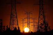 PSEB Engineers Condemn Political Interference in Punjab Power Sector