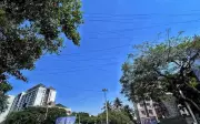 Pune Halts Cable Removal Drive to Align with Central Government Guidelines