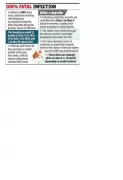 Pune's Naidu Hospital Reports 82 Rabies Cases, Highlights Rural Treatment Gaps