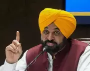 Punjab CM Bhagwant Mann Slams BJP Over ED Raids, Accuses Party of Intimidation Tactics