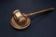 Punjab & Haryana HC Strikes Down Haryana's SC Seat Reduction in Panchkula MC
