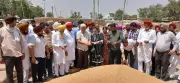 Punjab Minister: Farmers Get Payment Within 24 Hours of Procurement