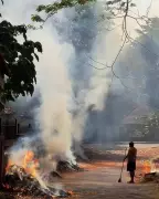 Punjab Reports 16 New Farm Fires, MP Tops with 18,912 Cases This Season