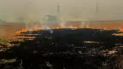 Punjab Reports First Wheat Stubble Fire as Madhya Pradesh Cases Spike to 6,000